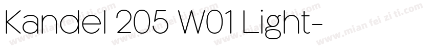 Kandel 205 W01 Light字体转换